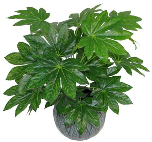 Leaf Design UK Realistic Large Artificial Foliage Plant with Pot, Aralia,60cm, AZ-FOLIAGE
