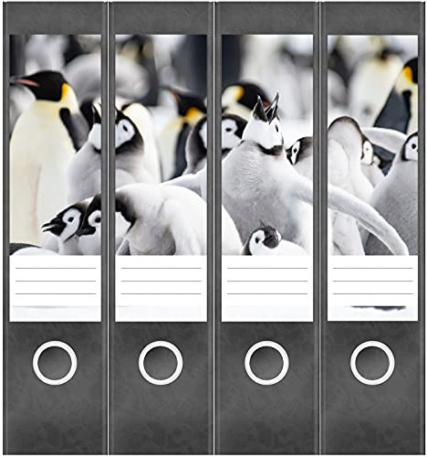Etiketten für Ordner | Pinguine | 4 breite Aufkleber für Ordnerrücken | Selbstklebende Design Ordneretiketten Rückenschilder