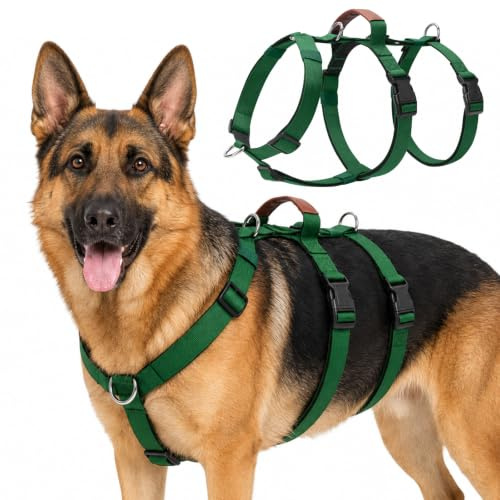 Avepisry Anti drag-hundsele, mjuk vadderad sele hund, lätt ventilerande anti-utbrottssäker sele med säkerhetsspänne, justerbart bröstsele för medelstora stora hundar (grön, M)