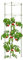 Rankhilfe Tomaten mit Stahlrohr-Verstärkung - Durchmesser 25-33cm verstellbar & stapelbar bis 136cm - Universelle Pflanzenstütze für Hochbeet & Garten