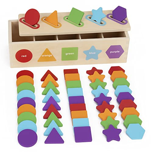 KMTJT Montessori Toys for 2 Year Old | Color Sorting & Stacking Matching Toys | Learning Sorting Toys for Toddlers 1-3 Year Olds | Educational Toy Gift for 1 2 3 Year Old Boy Girl