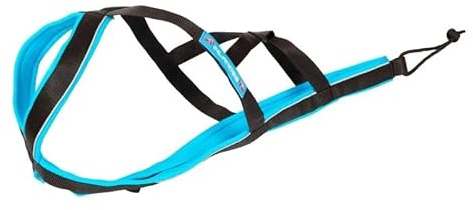 Harnais Polyvalent pour Chien Inlandsis Polar Quest X-Back – Léger, Ergonomique et Résistant – Canicross, Cani-VTT, Promenade et Randonnée (Chien>15kg)