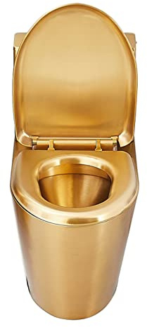 Cuvette de toilette à double chasse d'eau à haute efficacité, design économe en eau pour drainage au sol ou au mur, idéal pour les salles de bains commerciales, respectueux de l'environnement et