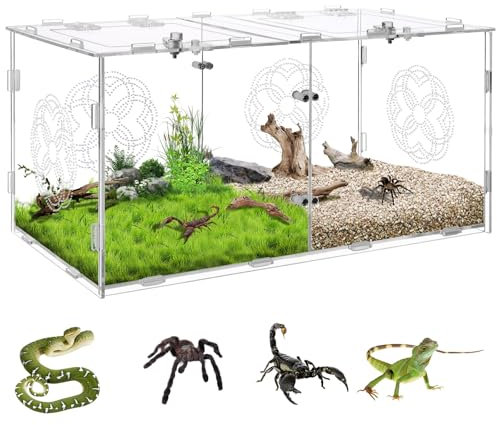Reptilien Terrarium Tank Acryl mit Doppelfächern, Großformat 40x20x20cm, Transparent Insekten Terrarium, Reptilien Aufzuchtbox für Spinnen,Hamster,Eidechsen,Schlangen