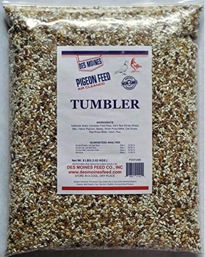 Tumbler Pigeon Mix (14%) 8 lbs