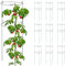 Relaxdays Rankhilfe 10er Set, Metall, runde Pflanzenstütze Tomaten & Gurken, HxD: 76x26 cm, 2 Ringe, Gurkenturm, grün