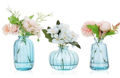 Ezvsevuo Vintage Vaso Vetro Trasparente, Set di 3 Mini Vasi in Vetro, Vasi Piccoli Decorativi, Centrotavola Vetro, Decorazioni Fiori, Tavola Decorazioni Matrimonio di Nozze