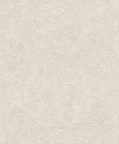 rasch Tapete 467505 aus der Kollektion Vincenza – Vliestapete in Hellgrau im Beton-Design – 10,05m x 53cm (L x B)
