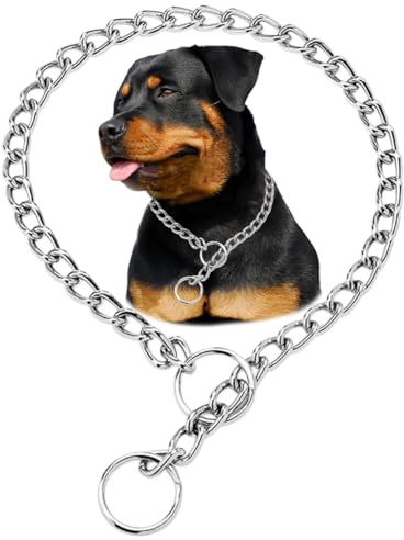 Collar de cadena de plata para perro, collar de perro resistente, para entrenamiento, a prueba de masticación, cadenas de perro martingala para perros XXS, XS, pequeños, medianos y grandes