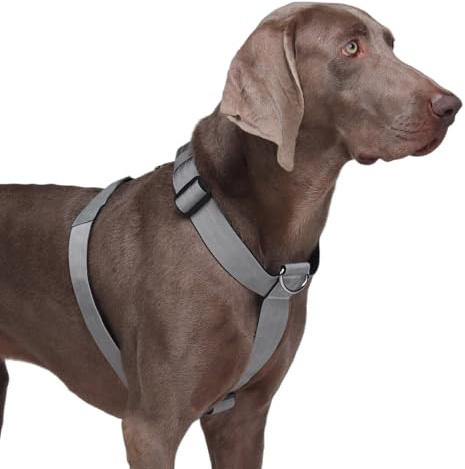 FEimaX Pettorina Cane Taglia Grande per Animali Domestici, No Pull Gilet Cani Regolabile Traspirante Imbracatura Tattica Resistente per Media Cani per l'Addestramento All'aperto