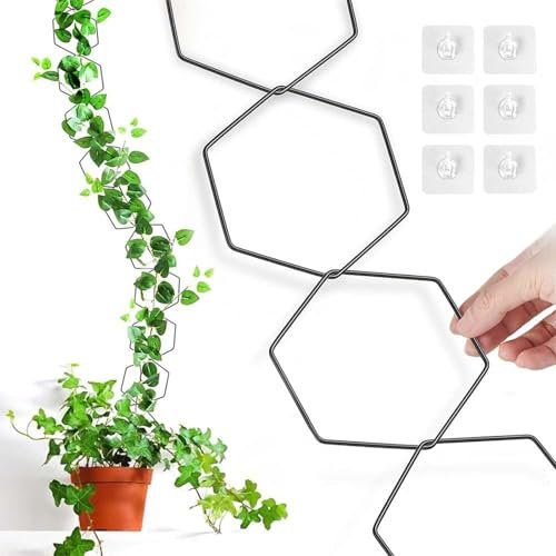 1 lot de 18 treillis à chaîne pour plantes grimpantes, idéal pour Philodendron et plus encore – Cadre en métal enduit – Parfait pour les jardiniers et les amateurs de plantes – Idéal pour une