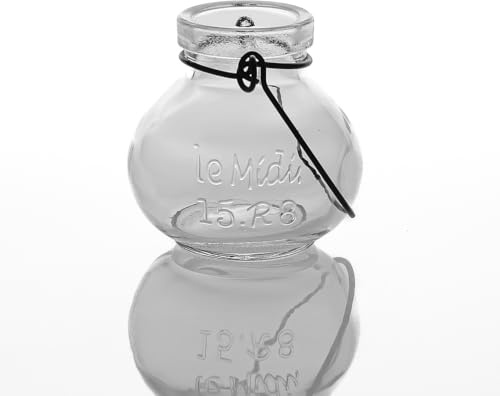 Richland Vintage Jar Mini Hanging Glass Vase Set of 12