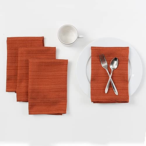Benson Mills Cameron Textured Fabric Cloth Napkins, for Everyday Home Dining, Parties, Fall, Harvest, and Thanksgiving Tablecloths (18 x 18 Napkin Set of 4, Bison/Rust/Burnt Orange)