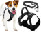 FIRSTPAW Anti Zieh Hundegeschirr für Kleine Hunde Größe S, Reflektierend, Verstellbar, Gepolstert und Atmungsaktiv Brustgeschirr Hund