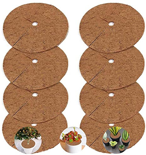 AISHOW 8 Stück Kokosmatten Kokosscheibe Kübelabdeckung Rund 20cm Kokos Mulchscheibe Kokosfasermatte Winterschutz für Kübelpflanzen Ganzjährig Pflanzenschutz Abdeckscheibe