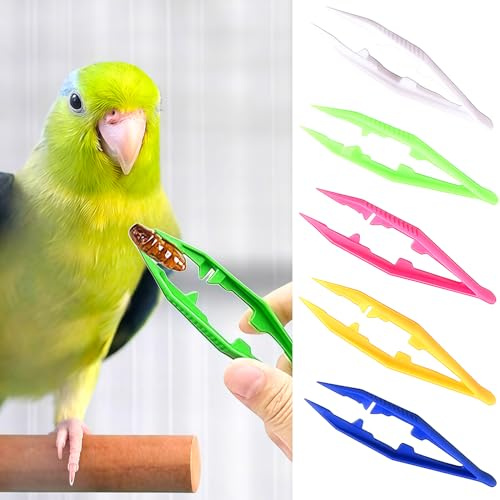 Plastic Tweezers for Feeding Reptiles, 5PCS Tongs for Snakes Lizard Tortoise Gecko, Kids Handmade DIY Crafts