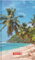 BRUNNEN Taschenkalender Mod. 756 '26 „Beach“ | A6, Papier