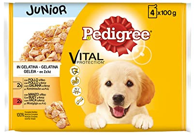Pedigree Comida húmeda para Perros Junior, Sabor Pollo y Buey con Arroz en Gelatina, Multipack (13 Packs x 4 bolsitas x 100g)