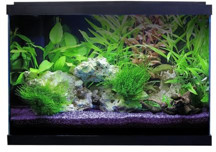 Swell Premium 62cm Tropical Aquarium Kit XL, 76L Glass Tank, 62cm, LED Lighting, 4-Stage Filtration