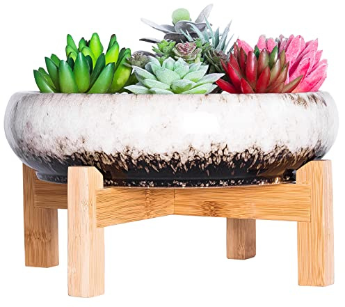 ARTKETTY Succulent Plant Pot - Large Bonsai Pot with Stand Shallow Cactus Plant Pot with Mess Drainage Screen, 25.4 CM Ceramic Flower Plant Container Bowl for Indoor/Outdoor (White)