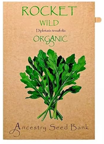 Organic Rocket ❁ Wild ❁ x200 Seeds Heirloom Herb - Non GMO