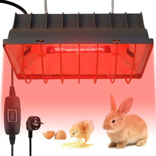BORDEAG Lampe chauffante animaux - Lampe à lumière rouge - 250 W - Pour poules - Lampe infrarouge - Avec interrupteur économique - Pour poussins, chiots, couveuses, agneaux, canards