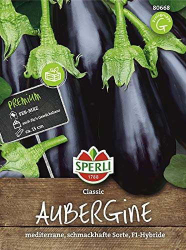 Sperli 80668 Aubergine Classic (Auberginensamen)
