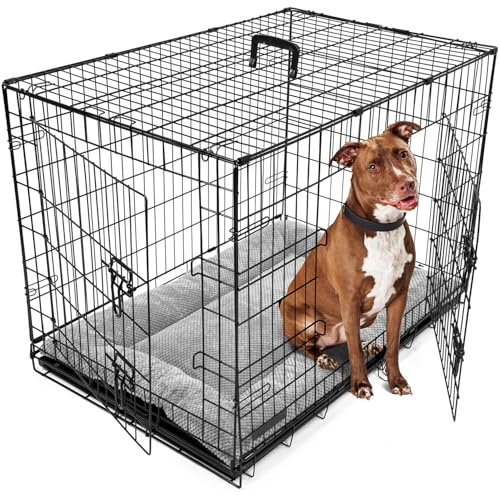 DogCrates+ Large Foldable Dog Crate with Bed, 2 Doors Design, Non-Chew Metal, Removable Tray, 36-Inch Black