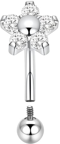 Hengkaixuan 16G Bijoux de Piercing pour Sourcils G23 en Titane, Boucle d'Oreille Rook, Bijoux Daith, Labret Vertical, Anneau Labial, Anneau de Sourcil, Petit Anneau de Nombril, Barbelle Courbée, Hélix
