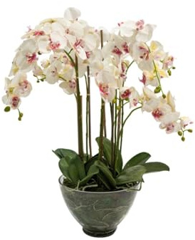 XONE Pianta artificiale in vaso trasparente Orchidea Phalaenopsis h85 cm