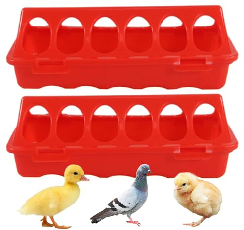 Cinero de alimentación de Pollo - Bin de alimentación de Pollo de 6 Hoyos, Juego de alimentación de Aves de Corral gemelas | Tazón automático de Grano de Pato de, Suministros para pájaros para