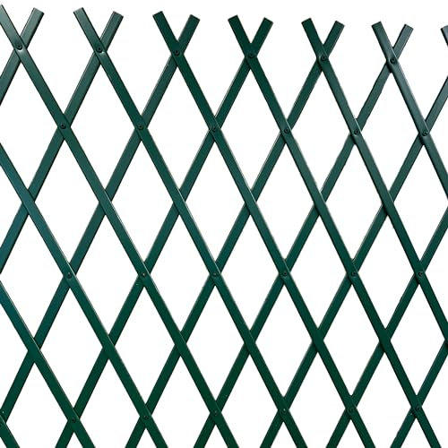 TENAX Treplas 100x300 cm Verde, Enrejado Extensible en PVC para la Sujeción de Plantas Trepadoras y Decorar Paredes, Balcones y Terrazas