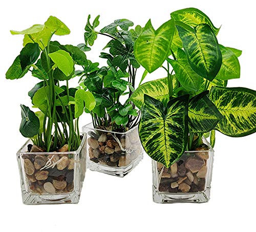 Aisamco - Juego de 3 Plantas Artificiales de imitación verdor de Mesa con macetas de Vidrio Claro, Plantas de Seda en un florero de Vidrio de imitación verdor Plantas en Maceta para decoración de