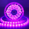iNextStation Ruban LED 12V 5 mètres Rose, 300 LEDs, SMD 2835, IP65 étanche découpable flexible Bande Lumineuse LED pour Chambre, Escalier, Armoire, Décoration Publicitaire (alimentation non incluse)