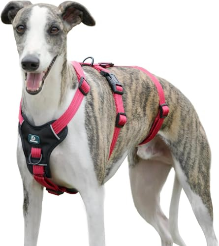 Paworld Arnes Antiescape Perro, Arnes Antitirones Perro, Arnes Perro Pequeño, Ajustable, Duradero, Transpirable, Sin Estrangulamiento, Entrenamiento y Paseo al Aire Libre (Rojo Rosa, S)