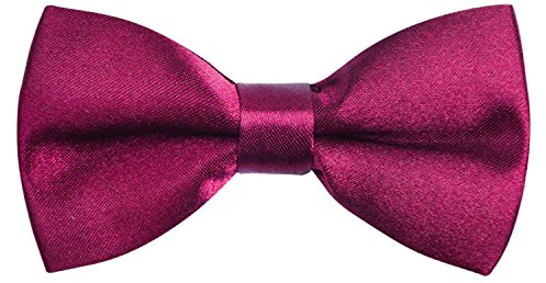 Alizeal bandad justerbar längd förbunden pojkes fluga för födelsedagsfest, Mörk magenta, en storlek
