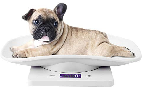 LUNWJJIP Balance de Poids for Animaux de Compagnie 10kg/1g numérique Petits Chats Chiens Outil de Mesure Balance de Cuisine électronique for Tout-Petit Petit Chiot Chat Chien