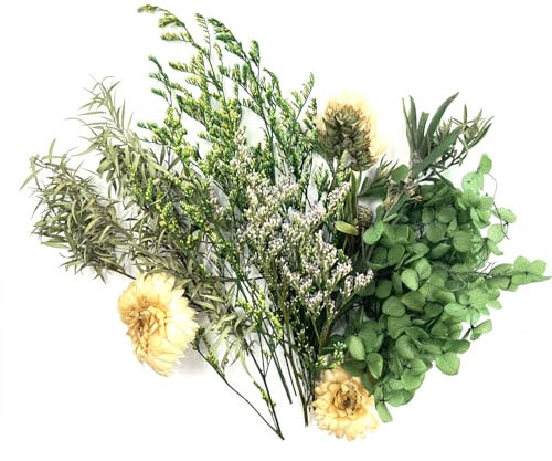 QZKJQDD Natural Dried Flowers, Real Dried Flowers, Dried Flowers for Resin, Dry Flowers for Decoration, Dried Flowers for Crafts, Candle, Soap Making, Resin, Scrapbooking, Cards Making (Green)