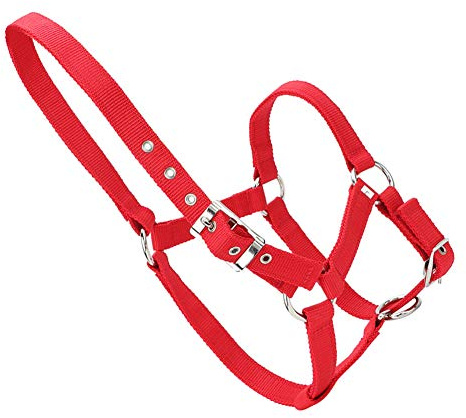 Yctze Correas Engrosadas de Alta Densidad de 6 Mm Control de Brida Accesorios para Montar Nylon de Color Rojo Deportes y Aire Libre/Deportes//Ecuestres/Tachuela/Cabestros y Correas