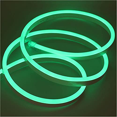 XUNATA 10m Neon LED Streifen Grün, 220V 2835 120leds/m IP65 Wasserdichte, Diffusion Flex LED Schlauch für Heim DIY Festival Dekoration