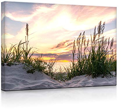 lightbox multicolor | Leuchtbild | Gras am Strand bei Sonnenuntergang | 80x60 cm | Front Lighted