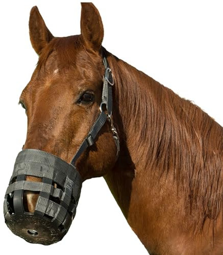 Best Friend Bozal de cuero de lujo para pastoreo de corona – Bozal de caballo con cabestro adjunto, ajustable, desmontable, ligero, ventilado, para pastoreo controlado, gris oscuro, caballo de tiro