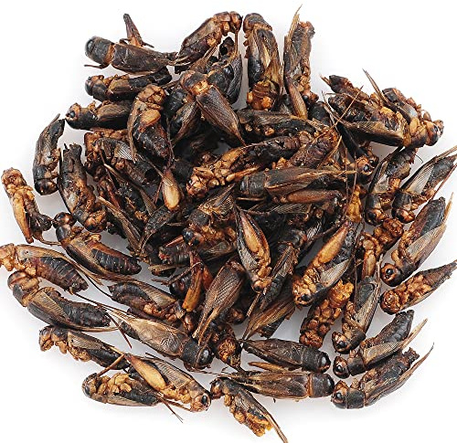 The Aqua Shack | Natural Dried Crickets Treats for Rats, Sugar Gliders, Pygmy Hedgehogs, Birds (50g)