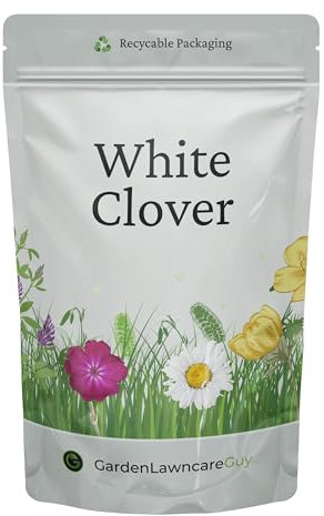 White Clover Flower Seeds for Lawns and Gardens - Wild White Clover - Garden Lawncare Guy