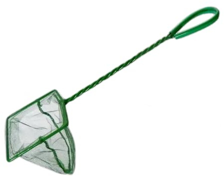 Épuisette Fine Maille - Filet 10 cm Maille Fine Ultra-Douce – Manche 25 cm – Idéale pour Poissons Fragiles et Crevettes – Nylon Résistant (Vert)