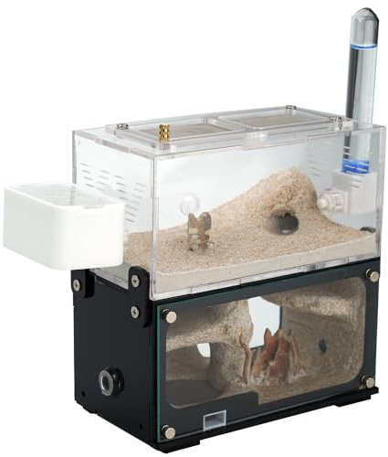 Rimsunta Ameisenfarm Beobachtungsterrarium aus transparentem Acryl mit Aktivitätskammer für Anfänger Ameisenhalter