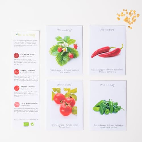 Lot de 4 variétés de graines de fruits - Poivre, Tomate Cerise, Poivre de Parron, Fraises - Graines écologiques de fruits