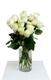 FLORES SOLIDARIAS - Ramos de Flores Naturales Rosas Blancas - Ramo Fresco de Calidad para Regalo, San Valentín, Día de la Madre, Bodas, Aniversarios, Cumpleaños y Decoración del Hogar