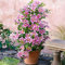 2 x Clematis Piilu - 2 x piante rampicanti a fioritura pluriennale – Invernale dura – 2 x 1,5 litri
