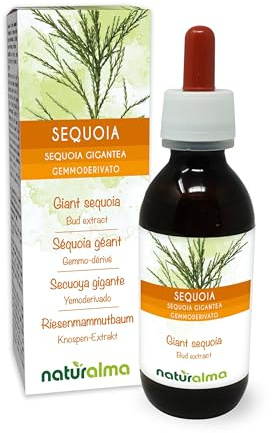 Séquoia géant (Sequoia gigantea ou Sequoiadendron giganteum) Gemmo-dérivé sans alcool à base de bourgeons frais Naturalma - Extrait liquide gouttes 120 ml - Complément alimentaire - Végétalien - végan
